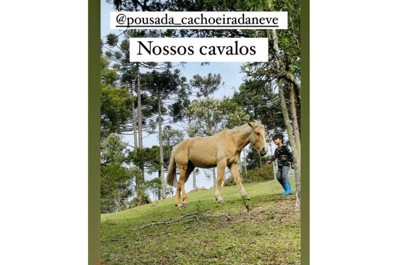 Floresta Secreta- Pousada Cachoeira Da Neve Urubici Εξωτερικό φωτογραφία
