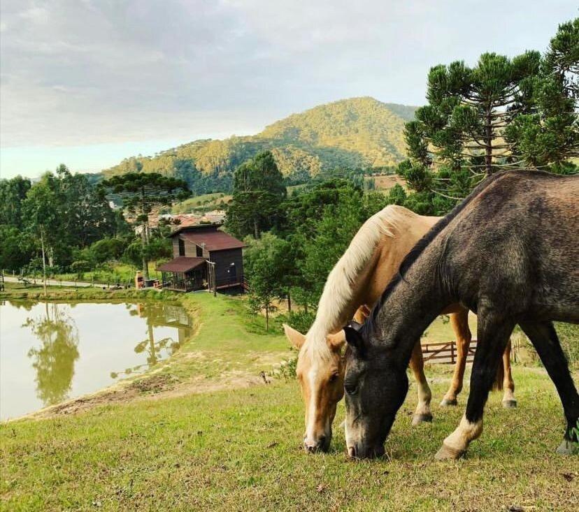 Floresta Secreta- Pousada Cachoeira Da Neve Urubici Εξωτερικό φωτογραφία